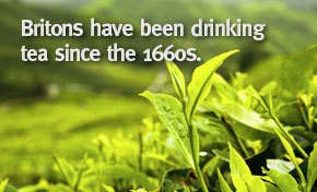 contact us at Cafe Maia