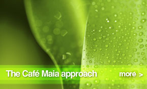 contact us at Cafe Maia